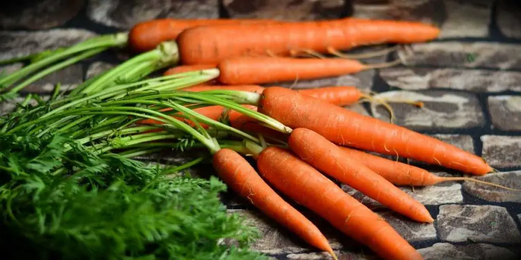 Can you eat carrots on keto