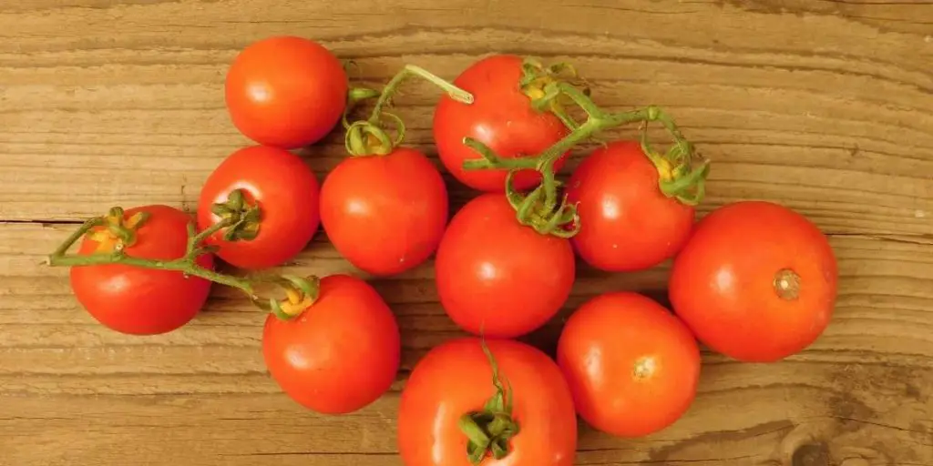 Are canned tomatoes as healthy as fresh tomatoes?