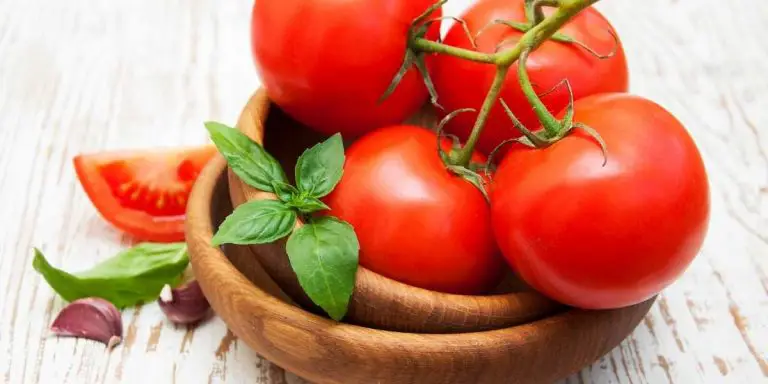 Are tinned tomatoes keto-friendly? [10 benefits]