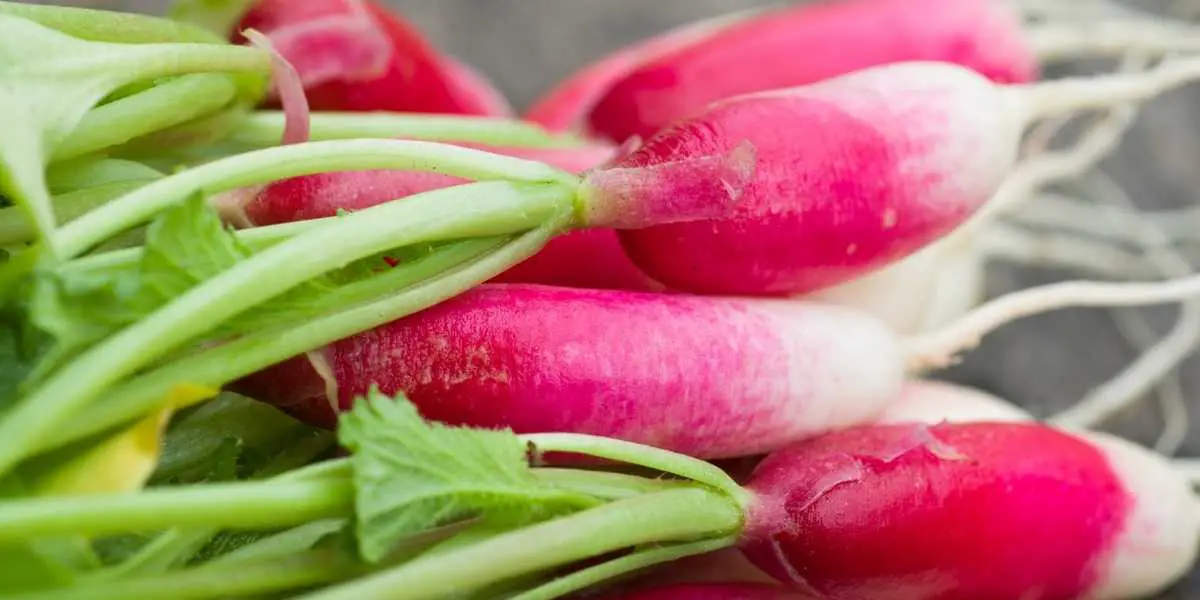 Are radishes healthier cooked or raw?