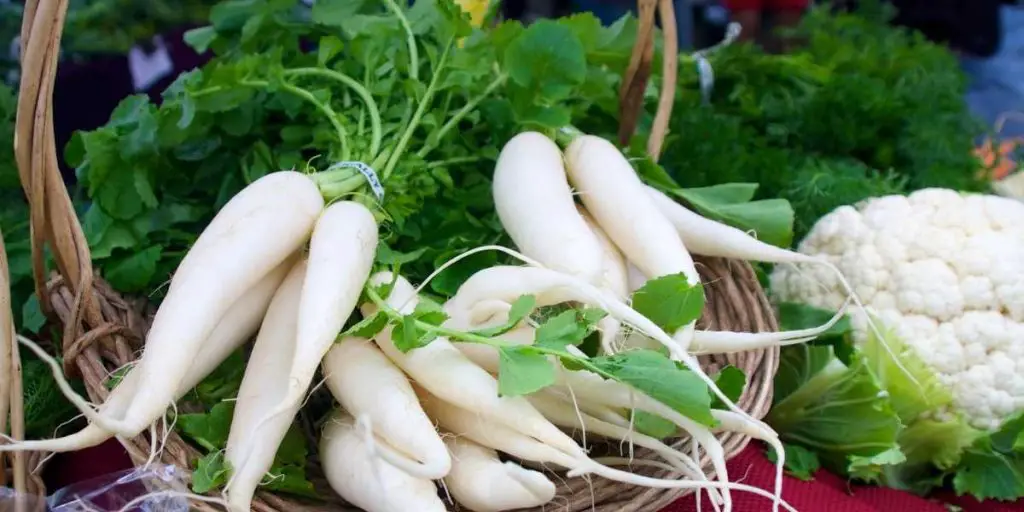 Can you eat radishes on a keto diet