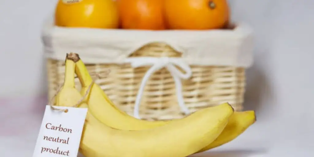 Benefits and Drawbacks of Feeding Bananas to Chickens